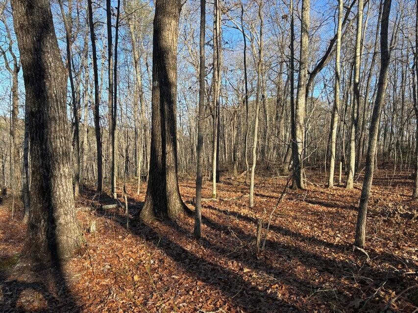 5 Deerhead Road Dunlap, TN 37327 - Photo 5 of 28 Gallery Image 5