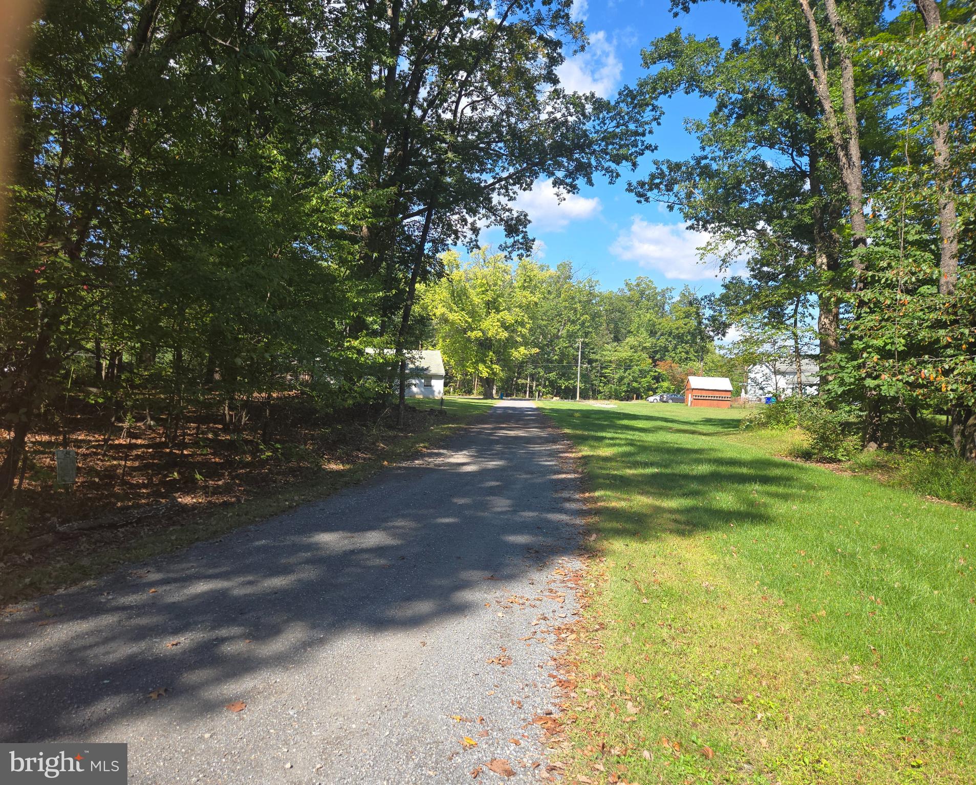 6431 Mountaindale Road Thurmont, MD 21788 - Photo 4 of 13 a view of a yard with plants and large trees