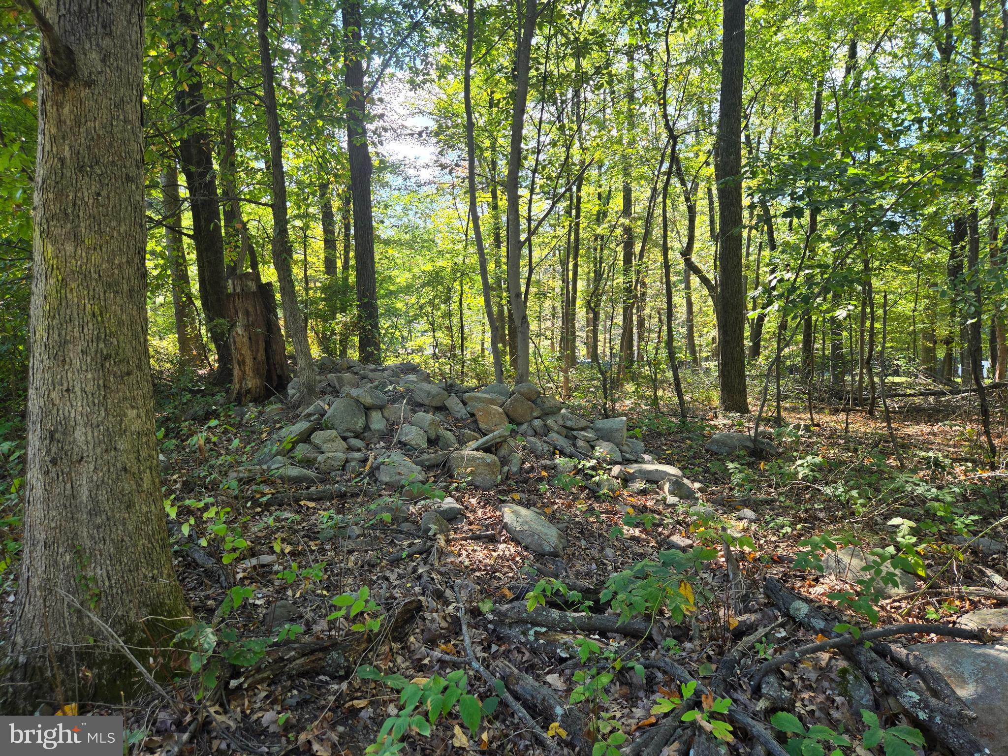 6431 Mountaindale Road Thurmont, MD 21788 - Photo 7 of 13 a view of outdoor space and trees
