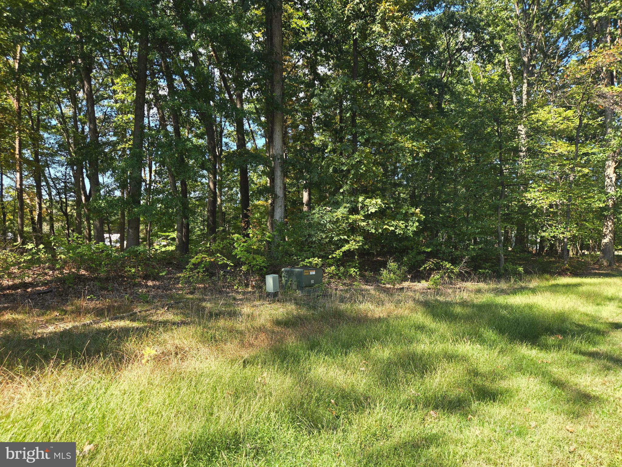 6431 Mountaindale Road Thurmont, MD 21788 - Photo 10 of 13 a view of yard with green space