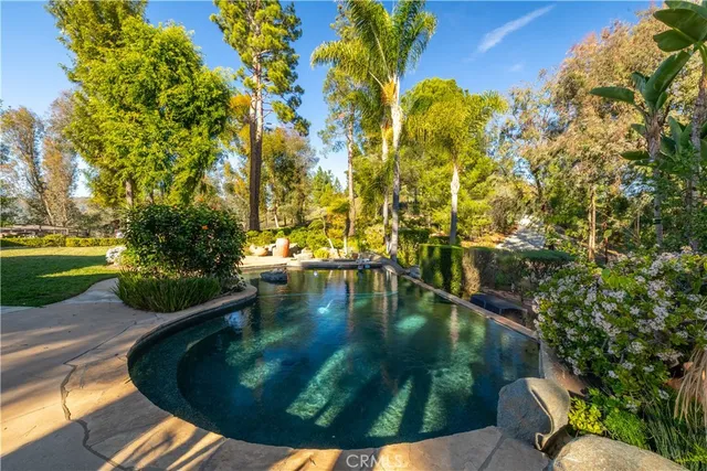 a view of a backyard