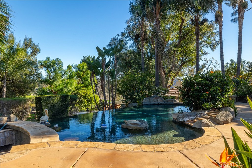 24105 Carancho Road Temecula, CA 92590 - Photo 43 of 49 Infinity edge pool
