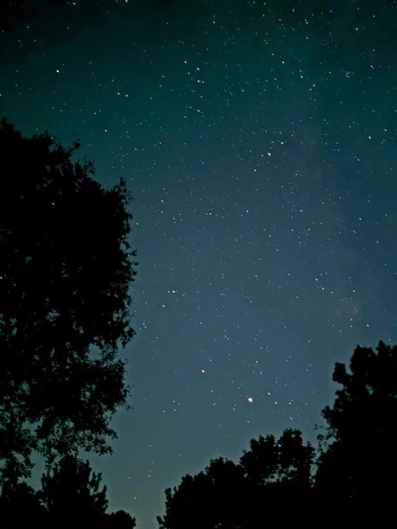 105 Saddle Surrey Road Coldspring, TX 77331 - Photo 34 of 46