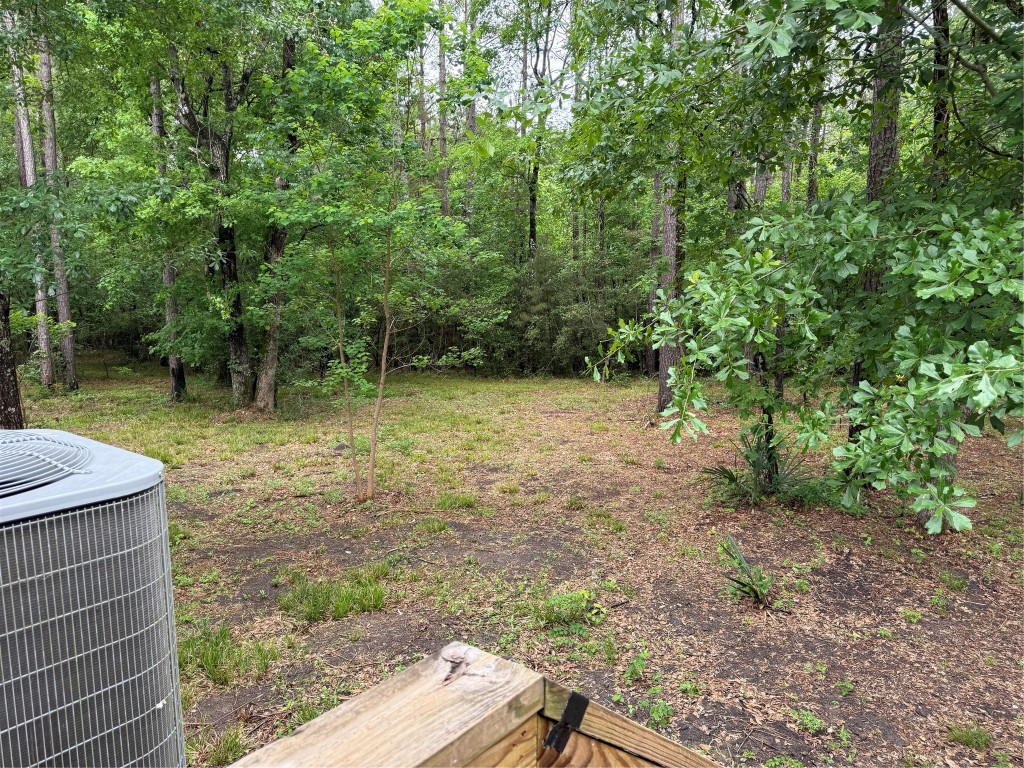 105 Saddle Surrey Road Coldspring, TX 77331 - Photo 45 of 46 101 - Back yard