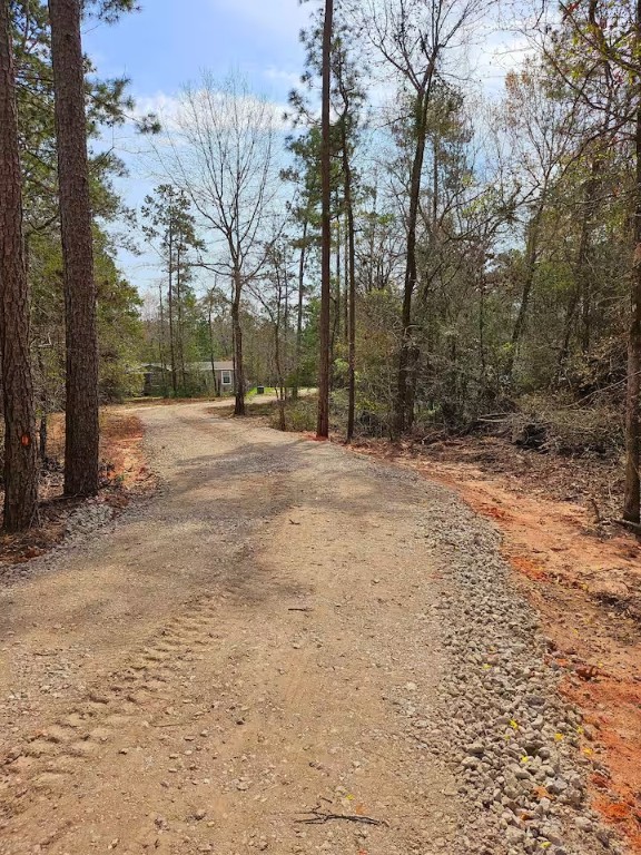 105 Saddle Surrey Road Coldspring, TX 77331 - Photo 8 of 46 105