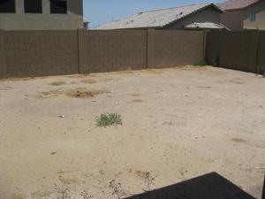 4340 West Carson Road Laveen, AZ 85339 - Photo 8 of 8 Large untouched backyard