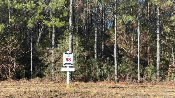 $99,900 | Lot 68 Straw Bridge Road, Jay, FL 32565