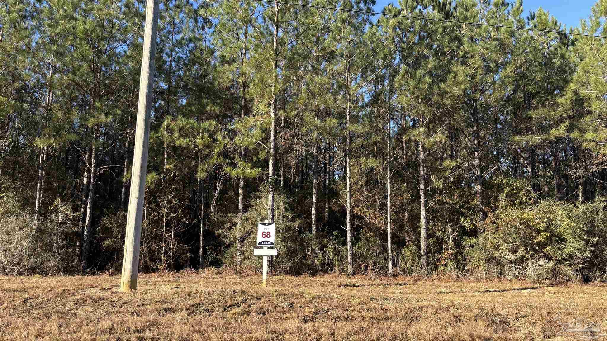 Lot 68 Straw Bridge Road Jay, FL 32565 - Photo 2 of 4