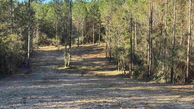 $99,900 | Lot 68 Straw Bridge Road, Jay, FL 32565