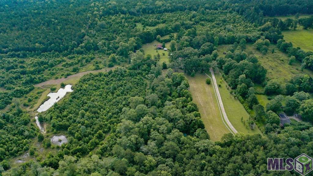 24175 West McKinney Road Springfield, LA 70462 - Photo 1 of 31