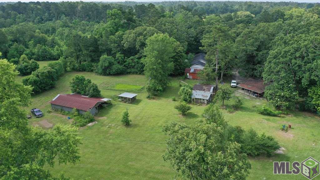 24175 West McKinney Road Springfield, LA 70462 - Photo 16 of 31