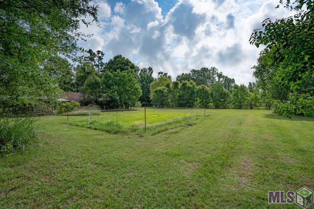 24175 West McKinney Road Springfield, LA 70462 - Photo 19 of 31