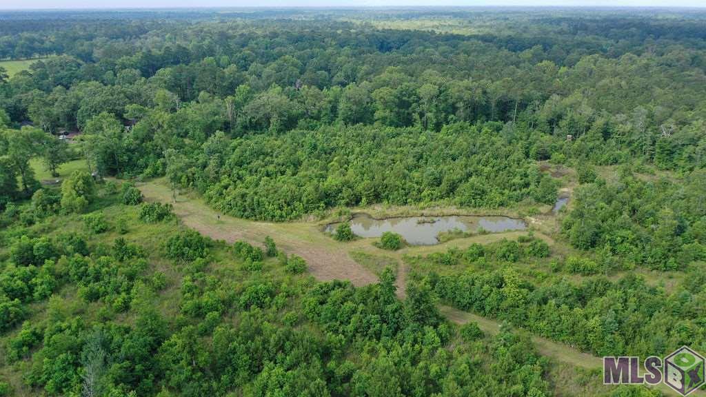 24175 West McKinney Road Springfield, LA 70462 - Photo 8 of 31