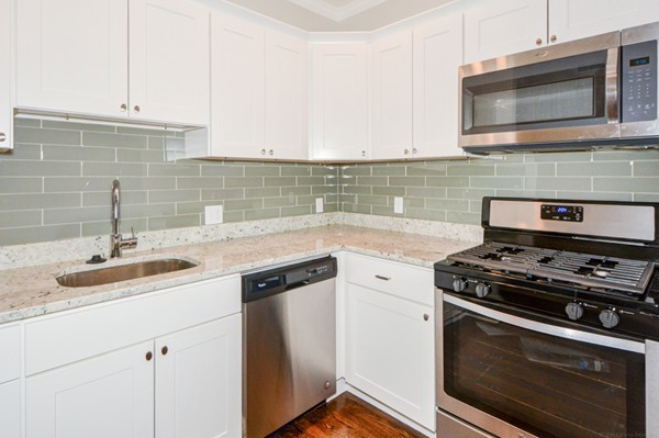 166 Boylston Street, Unit 1 Boston, MA 02130 - Photo 6 of 25