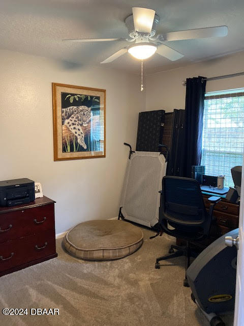 643 Copper Beech Boulevard Deltona, FL 32725 - Photo 18 of 31 Bed 4