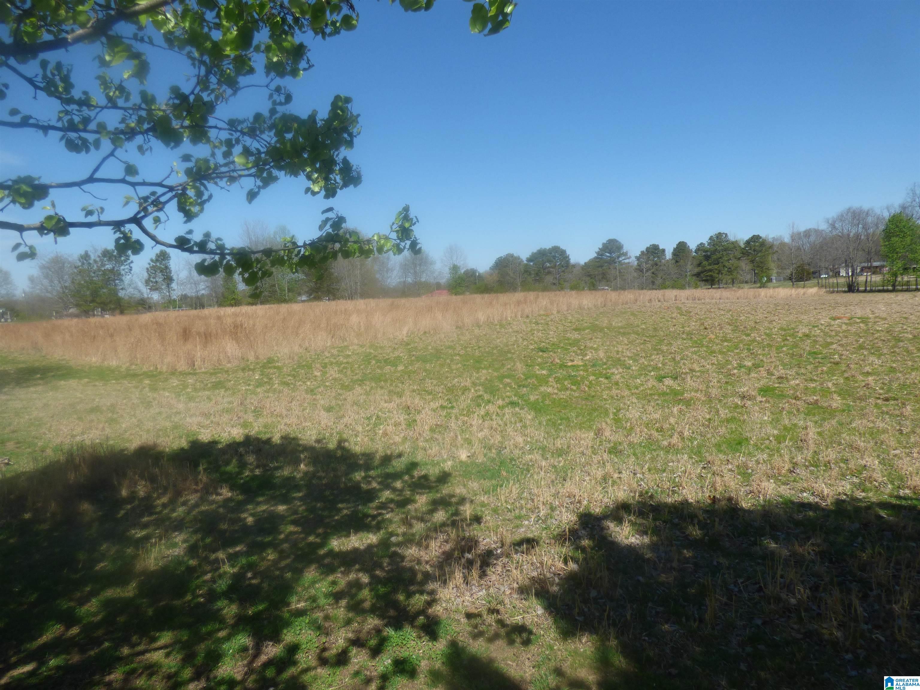 114 Haynes Road Altoona, AL 35952 - Photo 49 of 49