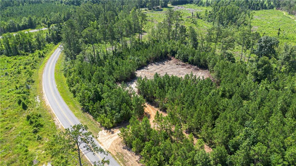 Lot A Ten Mile Road Mittie, LA 70654 - Photo 2 of 9