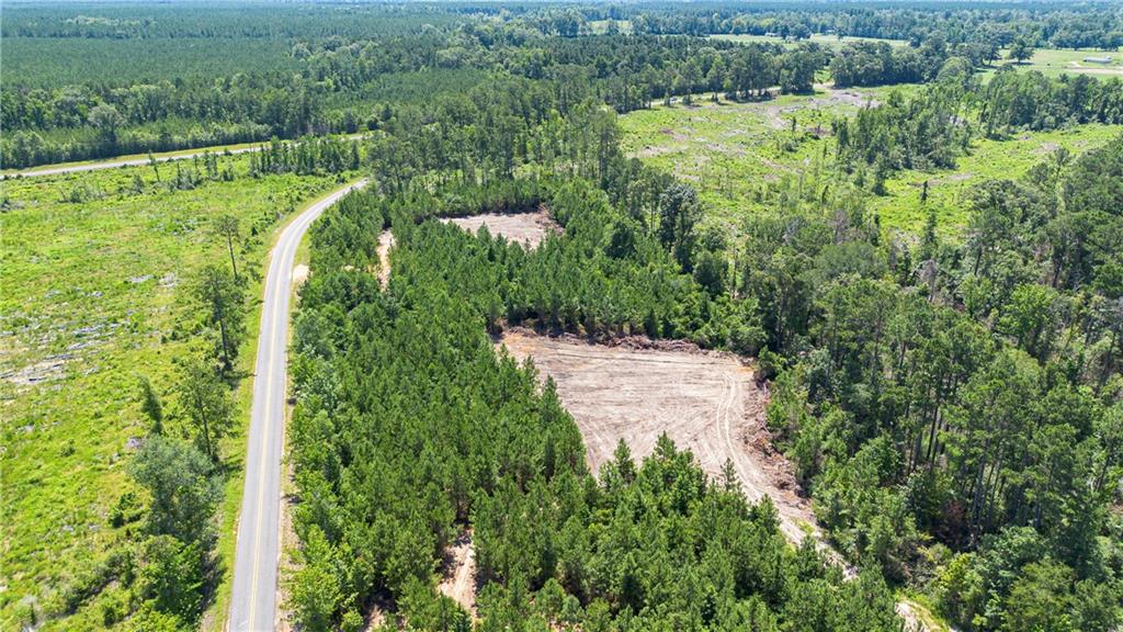 Lot A Ten Mile Road Mittie, LA 70654 - Photo 3 of 9