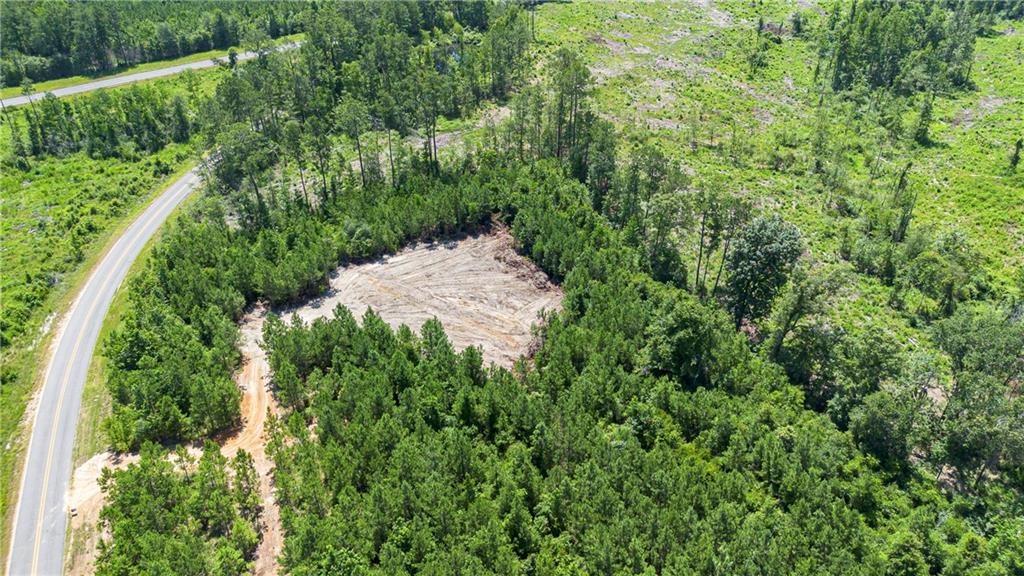 Lot A Ten Mile Road Mittie, LA 70654 - Photo 4 of 9