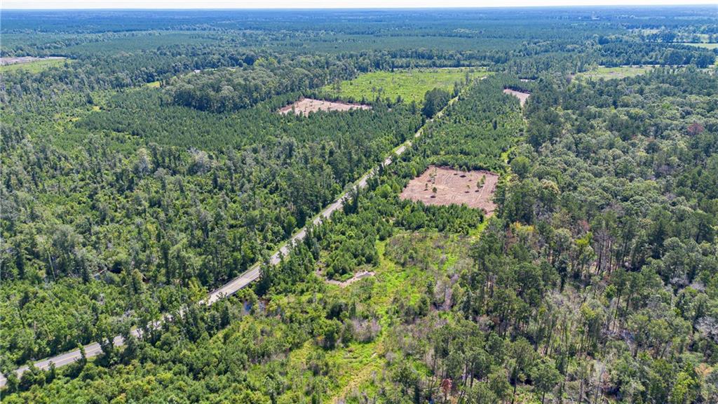 Lot A Ten Mile Road Mittie, LA 70654 - Photo 6 of 9
