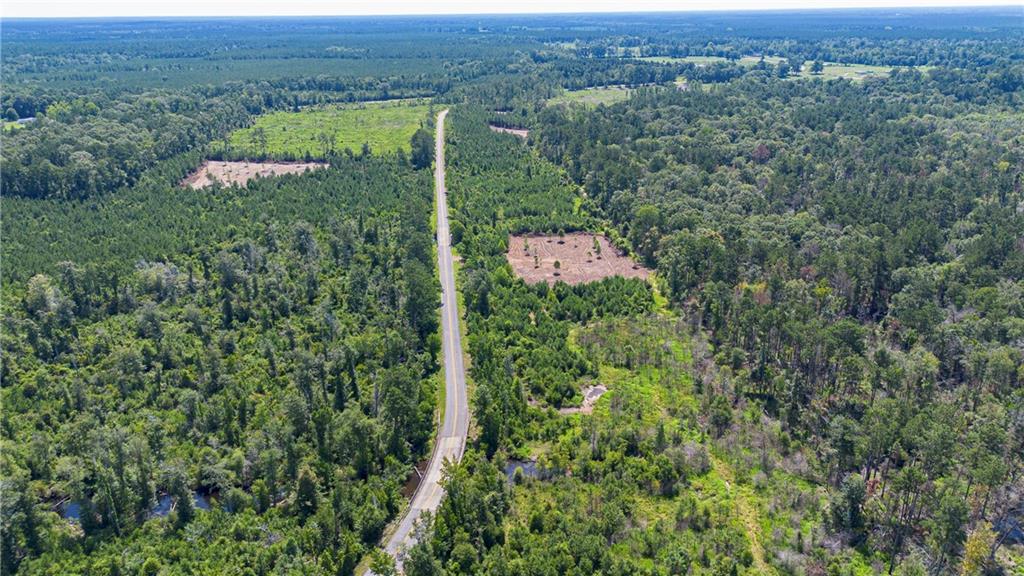 Lot A Ten Mile Road Mittie, LA 70654 - Photo 7 of 9
