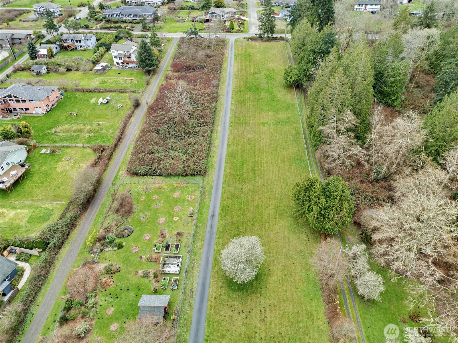 0 Northeast Jefferson Point Road Kingston, WA 98346 - Photo 14 of 21 a view of a garden
