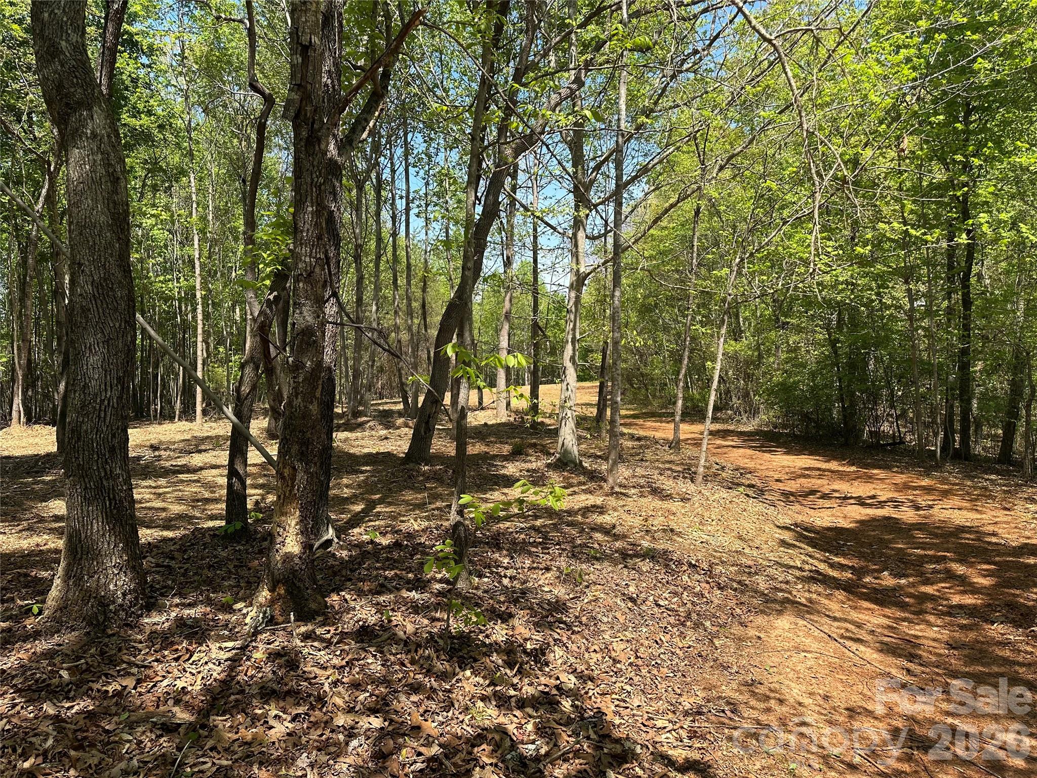 0 Stikeleather Road Hiddenite, NC 28636 - Photo 11 of 28 a view of yard