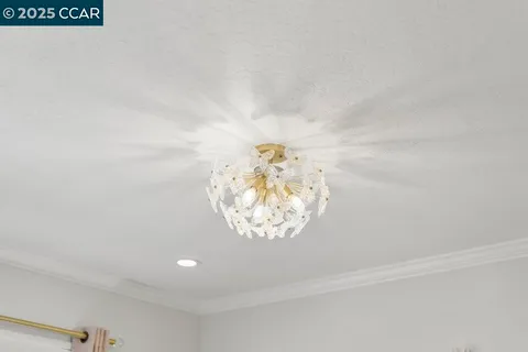 a view of a park with a tree