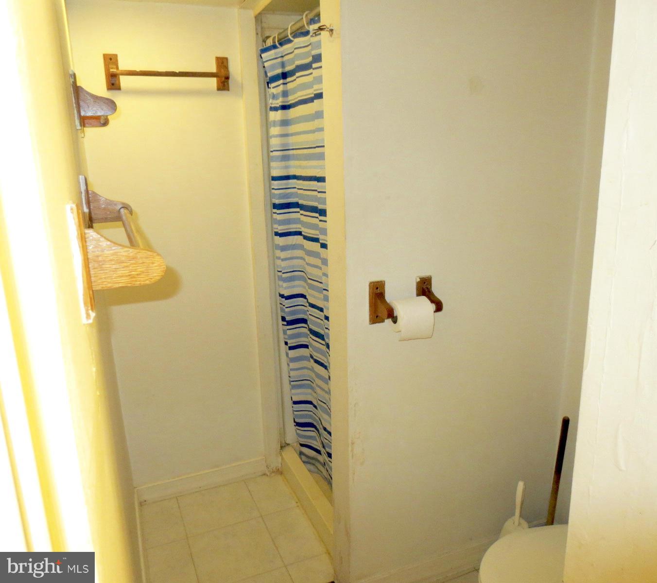 2210 Chapman Road Hyattsville, MD 20783 - Photo 21 of 30 Basement Shower Bath