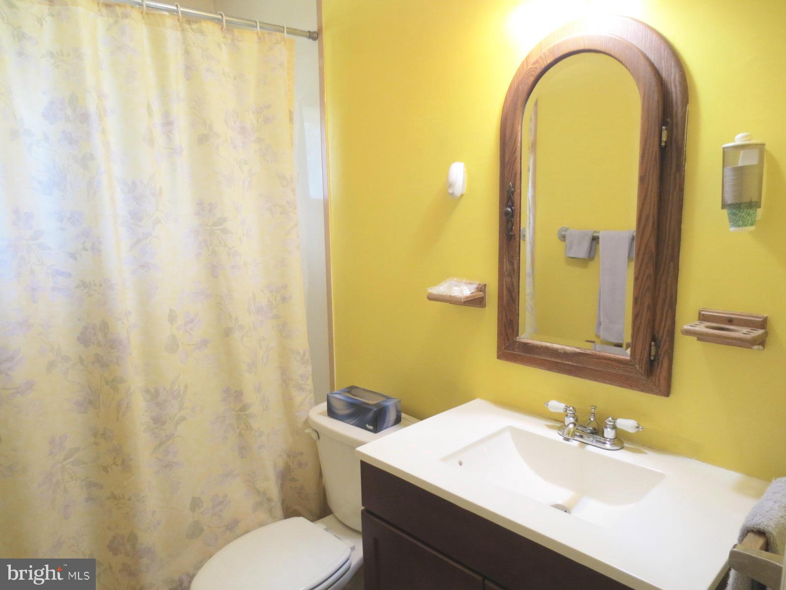 2210 Chapman Road Hyattsville, MD 20783 - Photo 8 of 30 1st floor bath