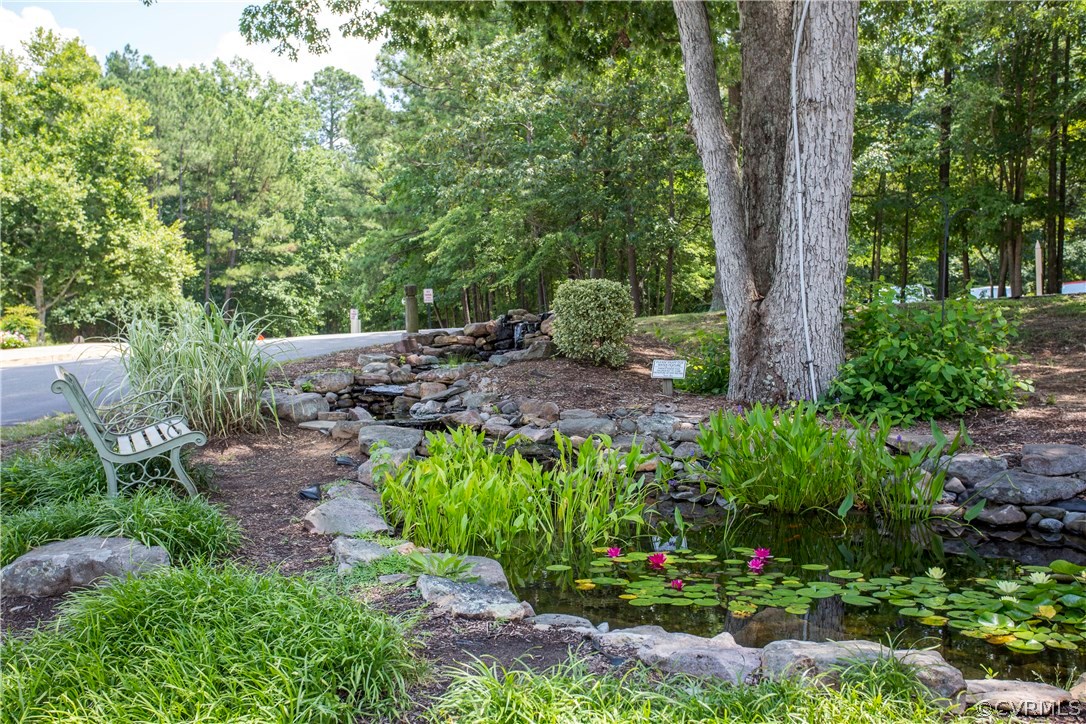 5111 Rock Harbour Road Midlothian, VA 23112 - Photo 47 of 50 a view of a garden with a tree
