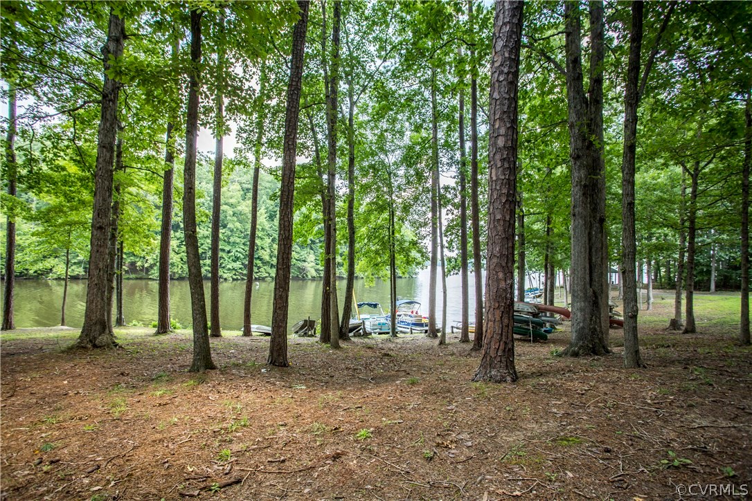 5111 Rock Harbour Road Midlothian, VA 23112 - Photo 5 of 50 a view of outdoor space with lots of trees
