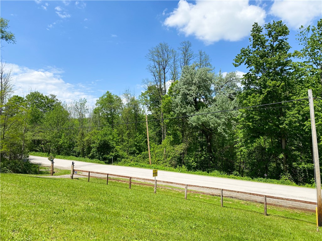 4880 Deusenberry Road Cohocton, NY 14826 - Photo 16 of 25