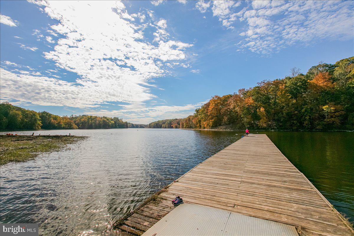 10222 Van Thompson Road Fairfax Station, VA 22039 - Photo 33 of 37