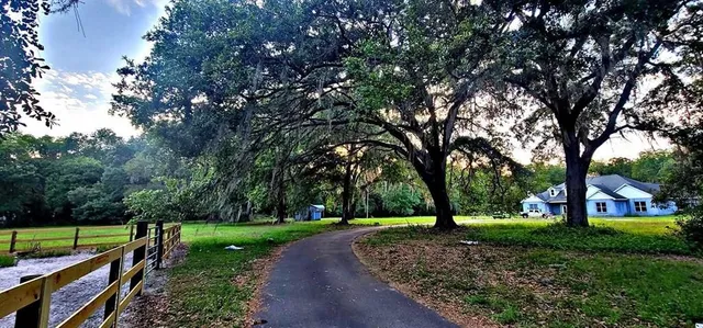 a view of a garden with trees