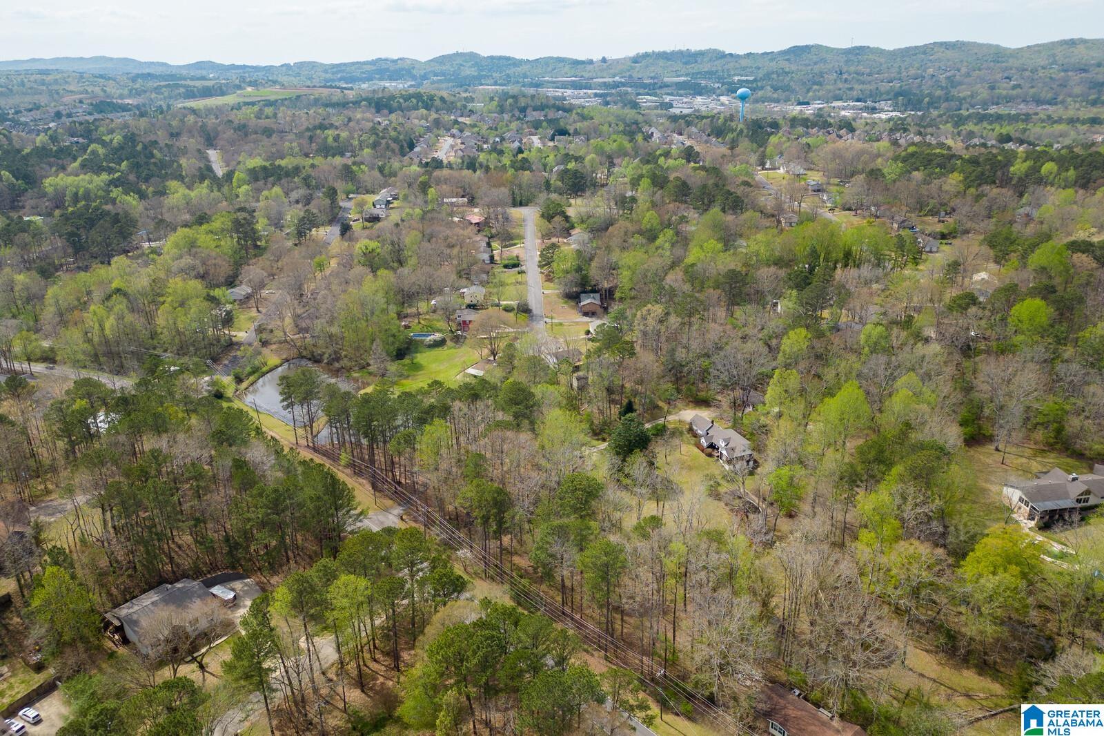 3392 Queenstown Road Trussville, AL 35173 - Photo 60 of 69