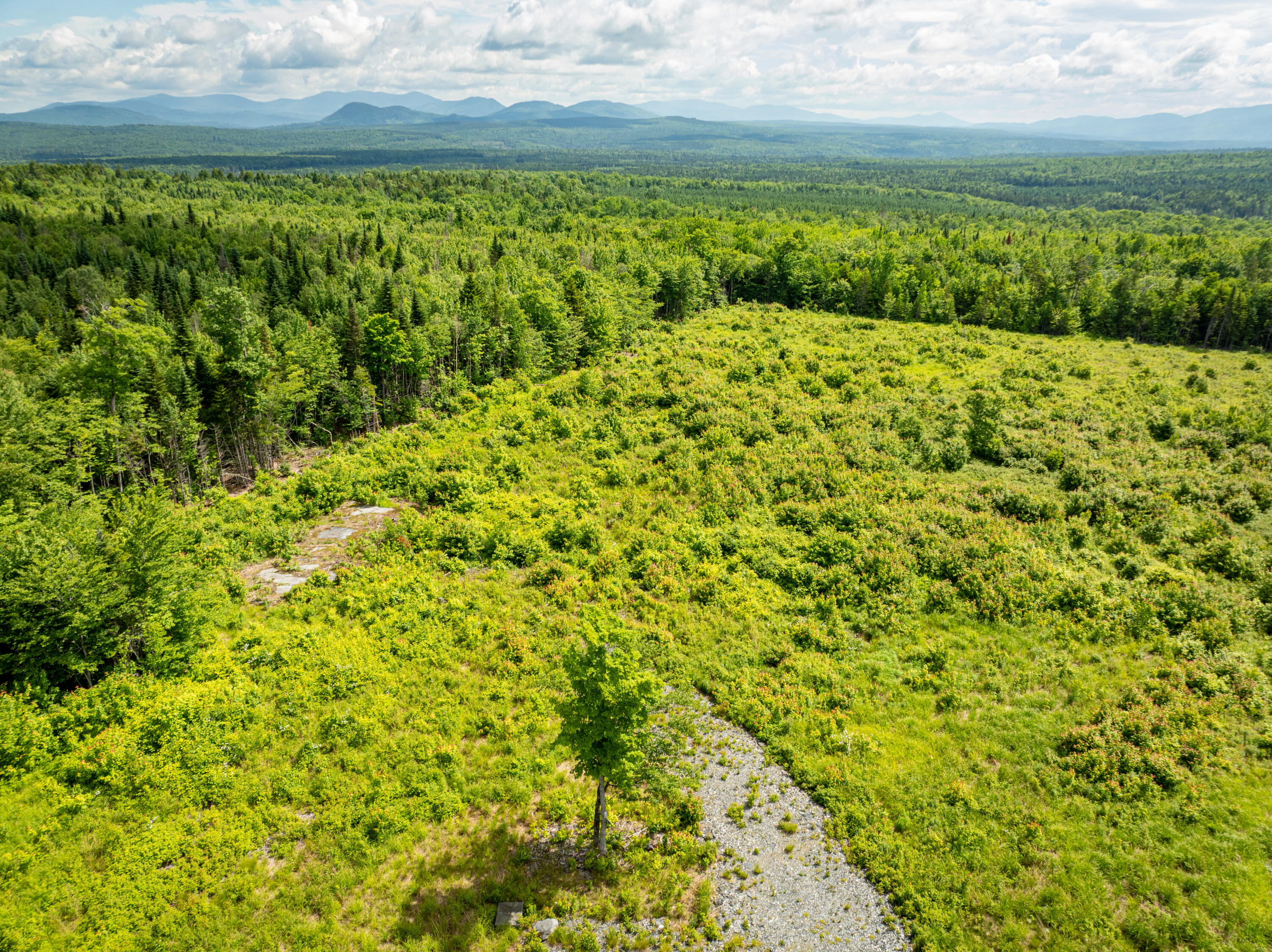 Alpine Ridge Phase II 005-2
