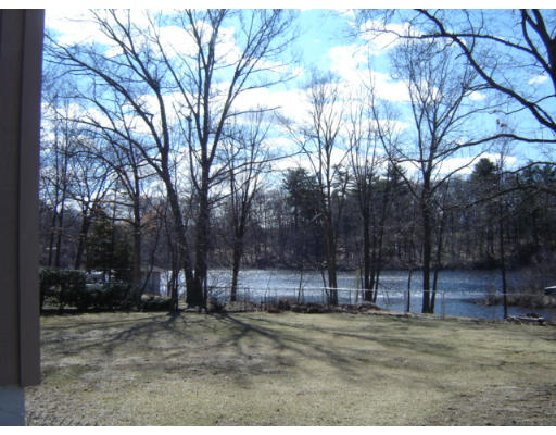 183 Garvey Drive Springfield, MA 01109 - Photo 14 of 14 a view of outdoor space with trees