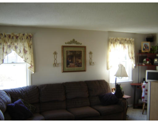 183 Garvey Drive Springfield, MA 01109 - Photo 8 of 14 a living room with furniture and a window