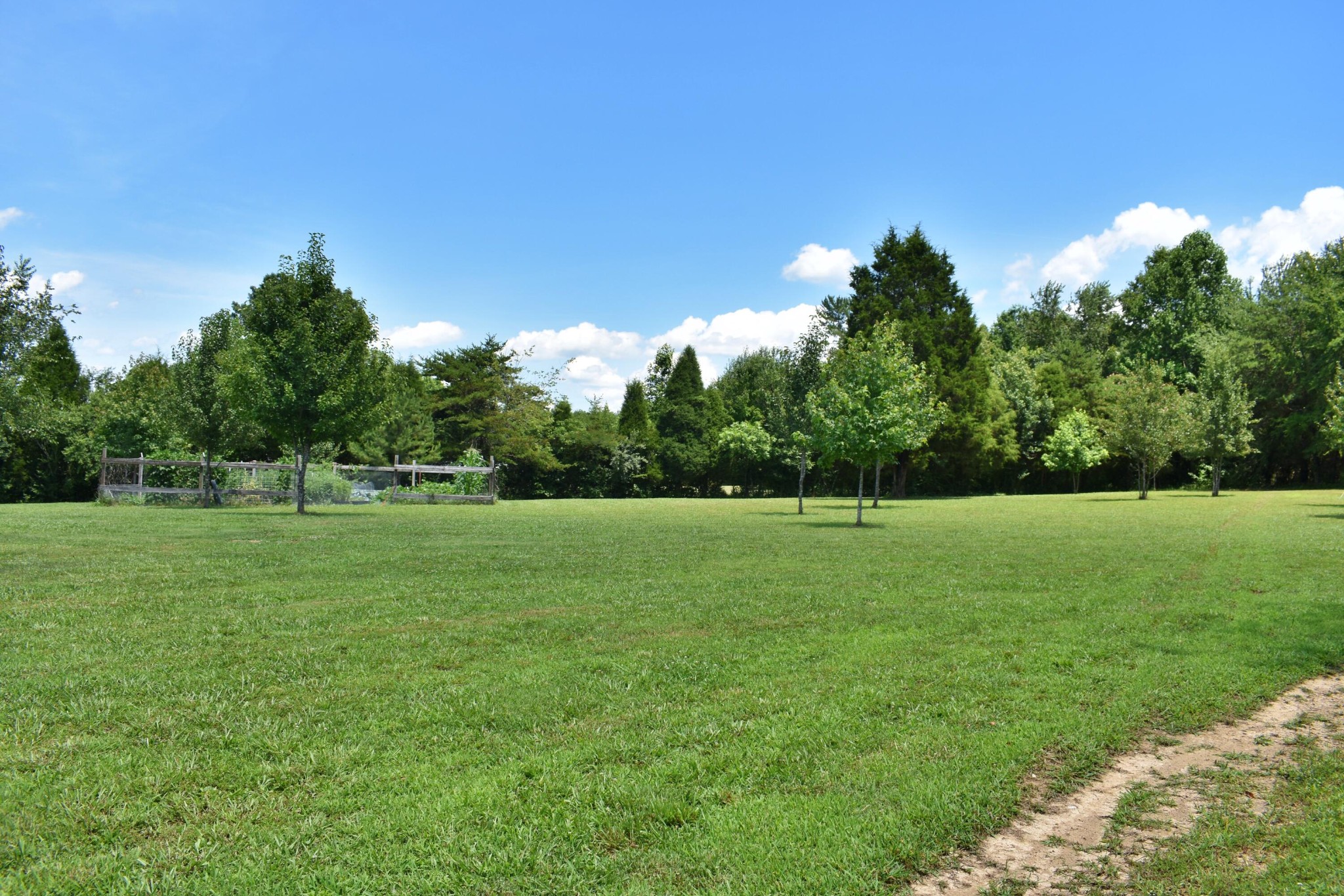 5858 Wolf Creek Road Spring City, TN 37381 - Photo 49 of 76