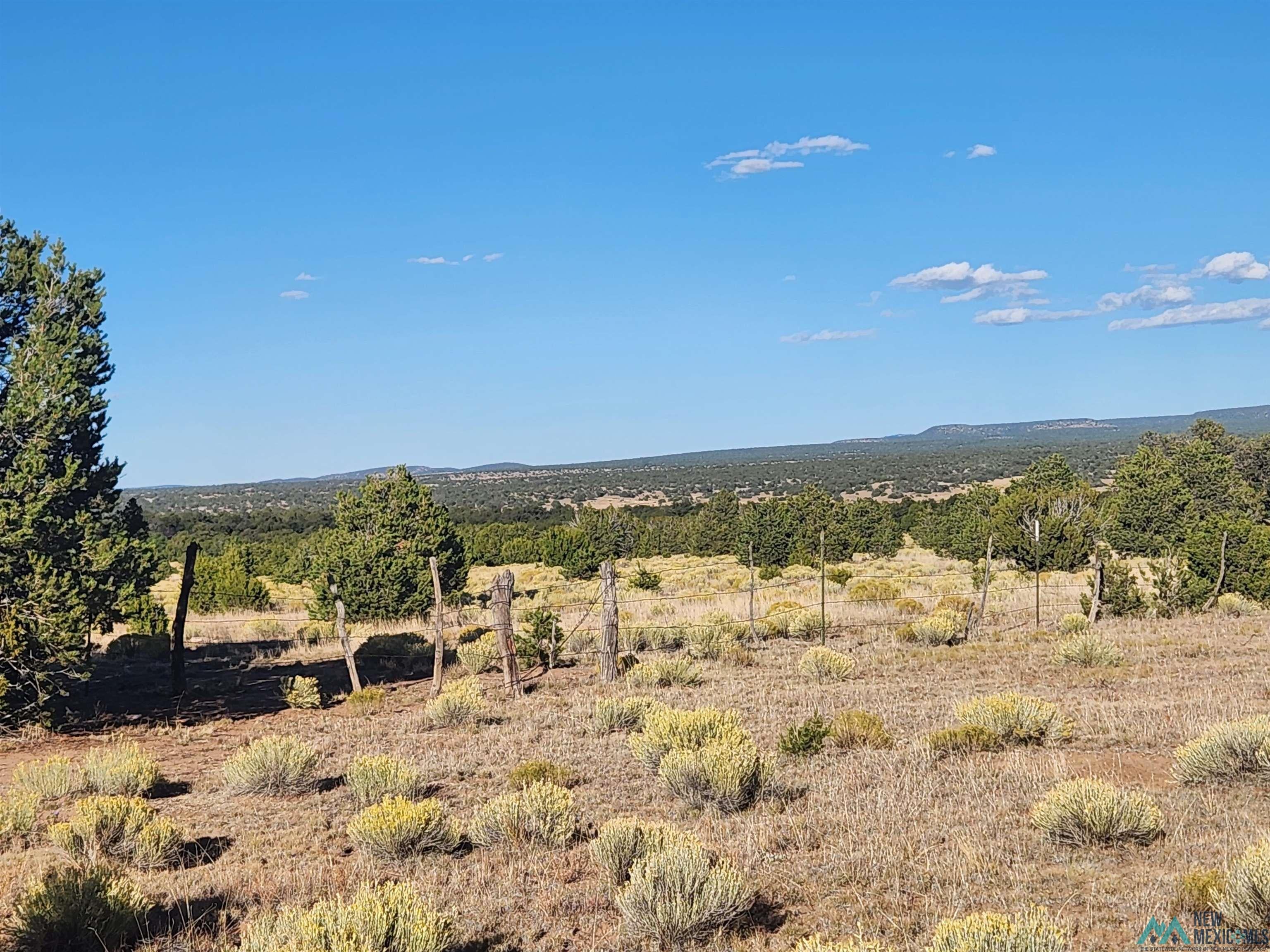 Tbd Mangas Road Quemado, NM 87829 - Photo 8 of 15