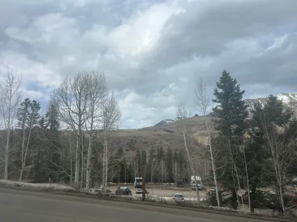 a view of a road from a yard