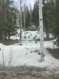 a view of a yard with snow on the road