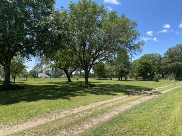17330 Penick Road Waller, TX 77484 - Photo 9 of 10 a grassy field with trees in the background