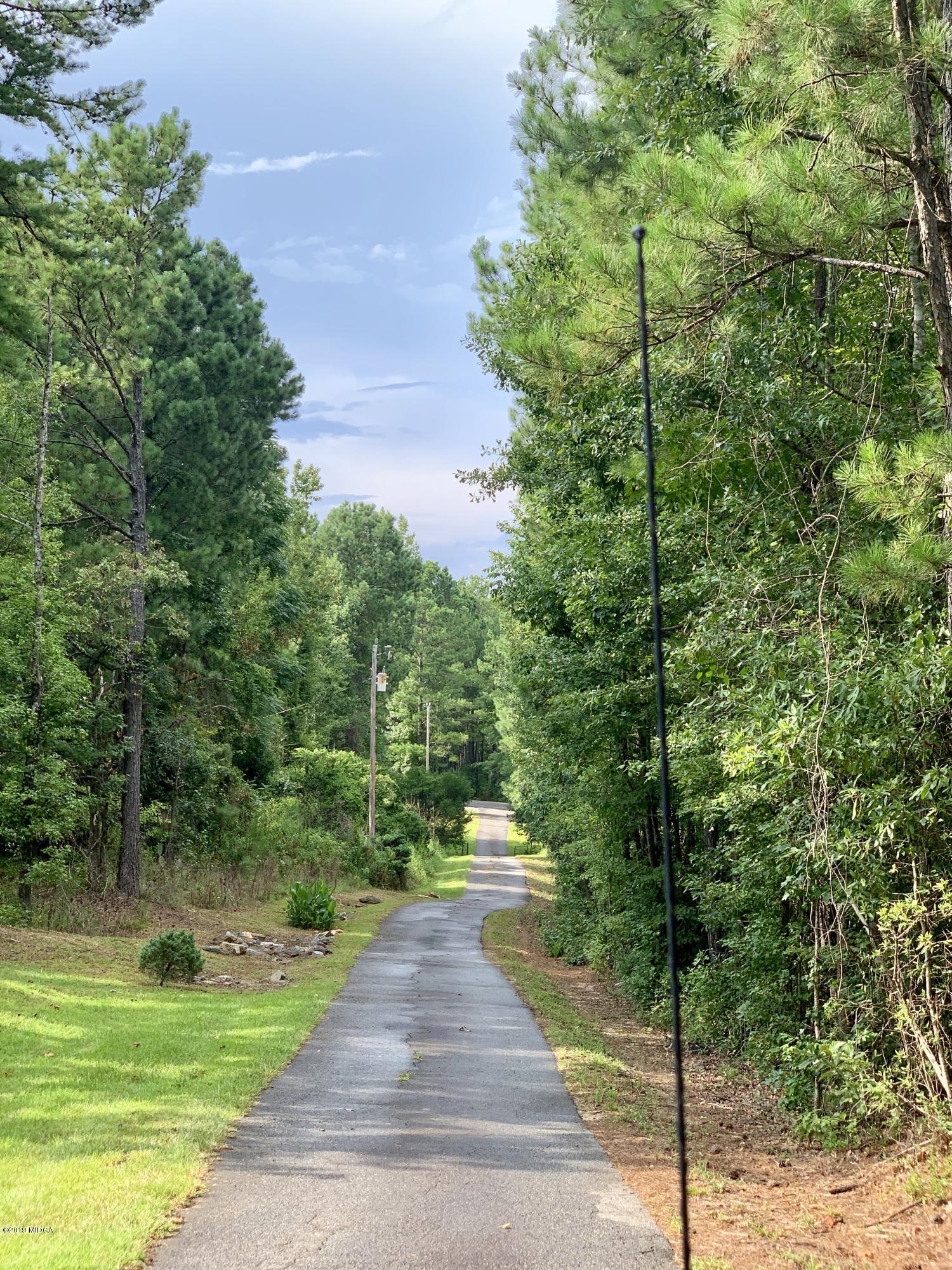 1325 Taylor Road Juliette, GA 31046 - Photo 4 of 18 a view of a yard with plants and large trees