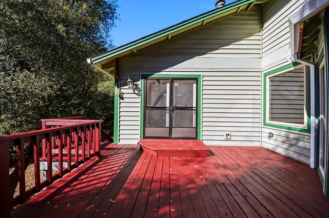 a view of a yard with plants