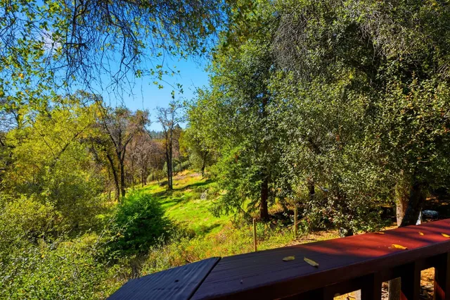 a view of a backyard with plants