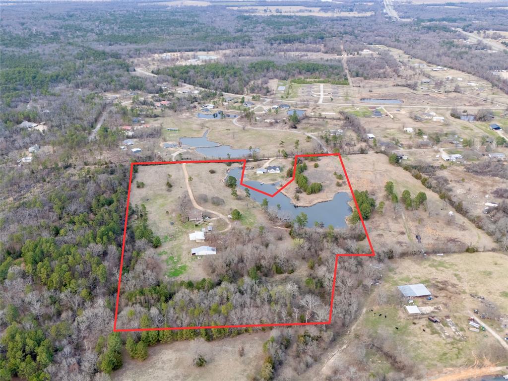 509 County Road 35985 Powderly, TX 75473 - Photo 37 of 37 a view of lot of trees