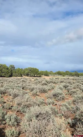 a view of an outdoor space and a yard