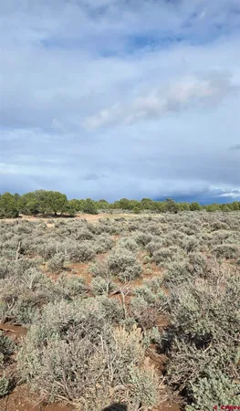 $18,000 | 70356170 Parcel Fort, Blanca, CO 81123